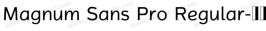 Magnum Sans Pro Regular字体转换